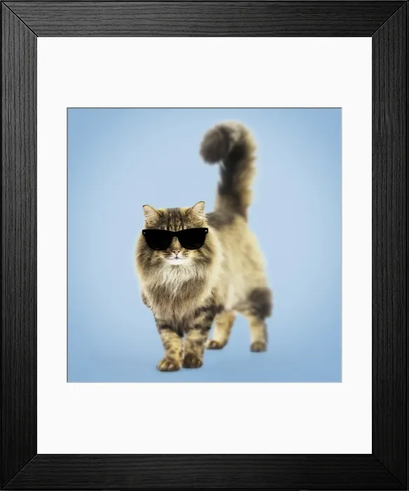 Framed Print : Picture No. 11769046 Framed Print : Picture No. 11769046