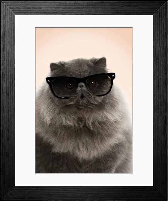 Framed Print : Picture No. 11769047