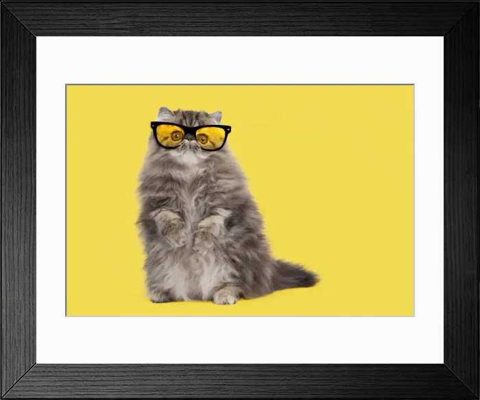 Framed Print : Picture No. 11769051 Framed Print : Picture No. 11769051