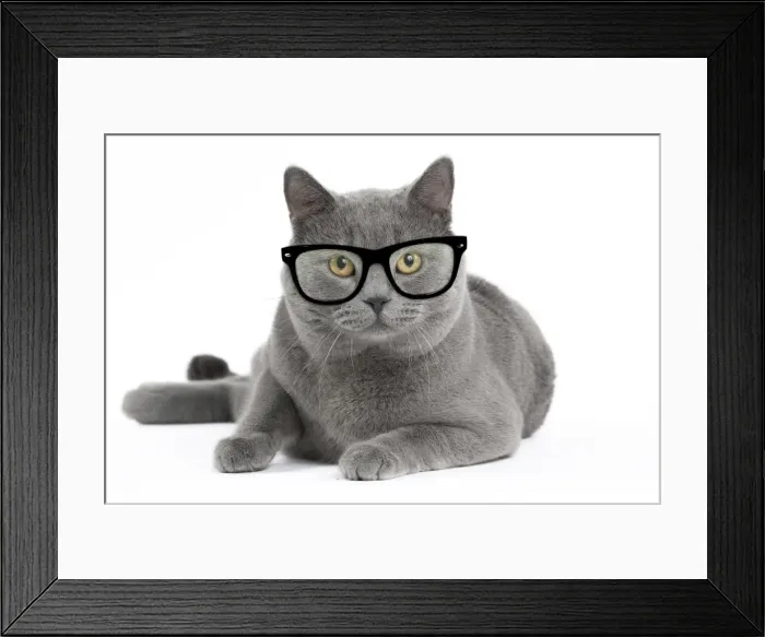 Framed Print : Picture No. 11769052 Framed Print : Picture No. 11769052