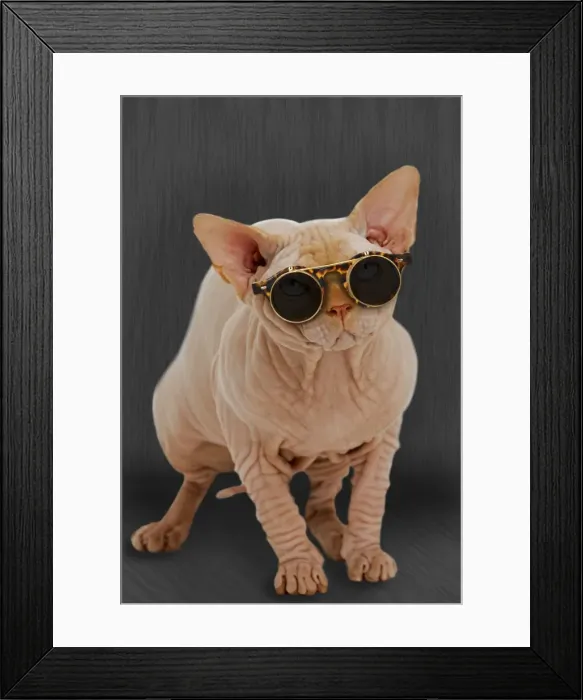 Framed Print : Picture No. 11769058