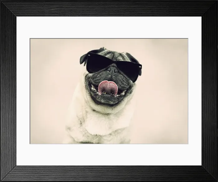 Framed Print : Picture No. 11769106 Framed Print : Picture No. 11769106