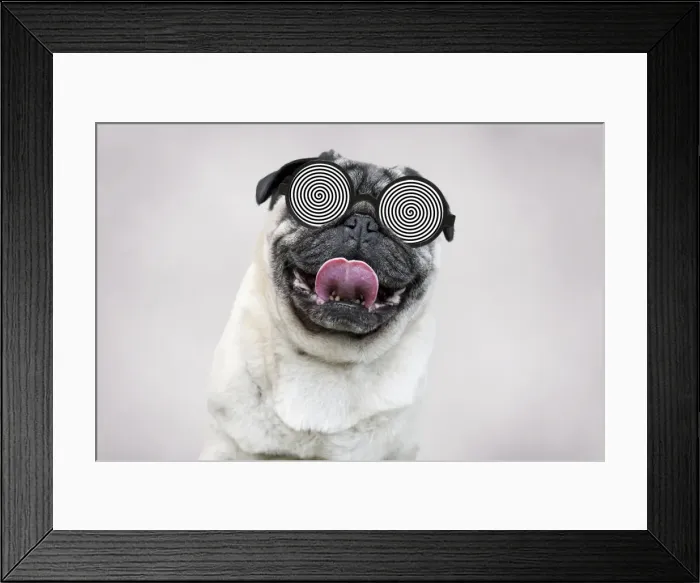 Framed Print : Picture No. 11769108