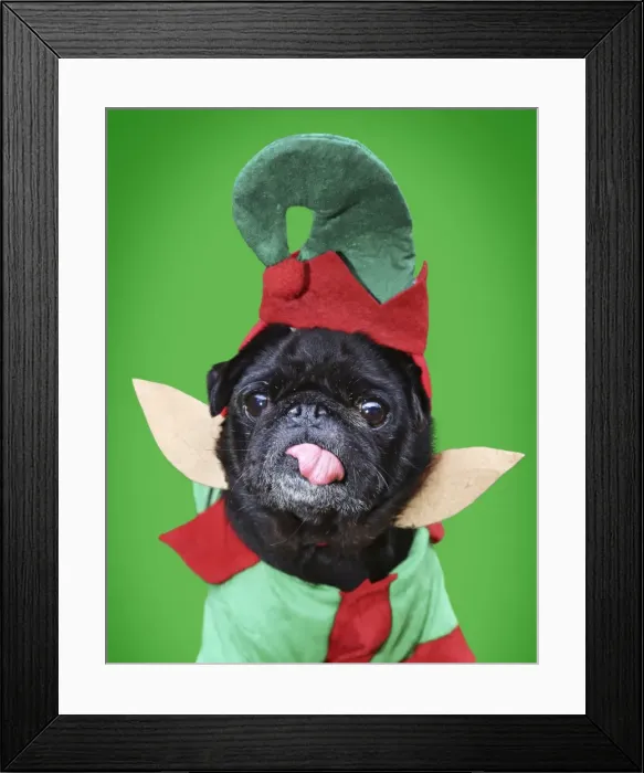 Framed Print : Picture No. 11769120 Framed Print : Picture No. 11769120