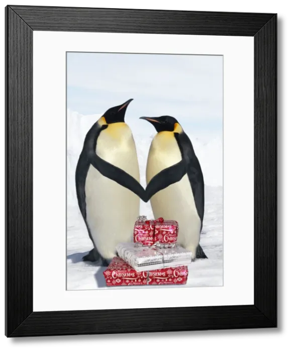 Framed Print : Picture No. 11769123