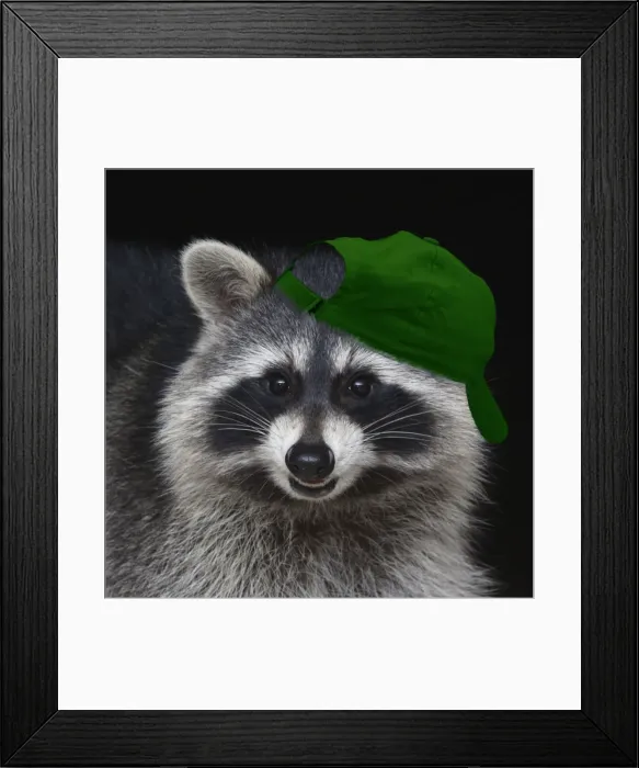 Framed Print : Picture No. 11769135