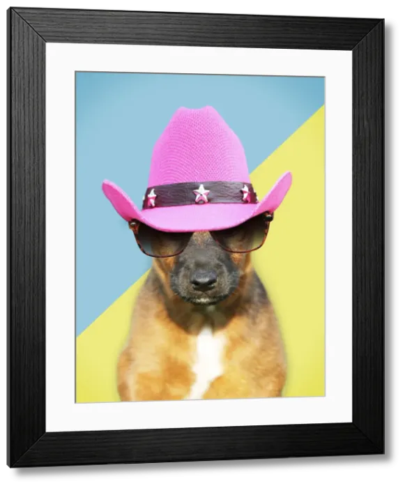 Framed Print : Picture No. 11769137 Framed Print : Picture No. 11769137