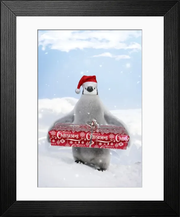 Framed Print : Picture No. 11769142 Framed Print : Picture No. 11769142