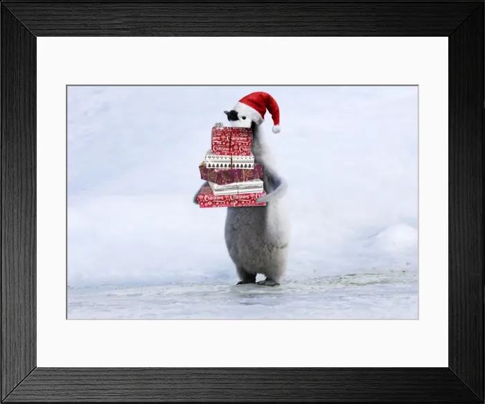 Framed Print : Picture No. 11769144 Framed Print : Picture No. 11769144