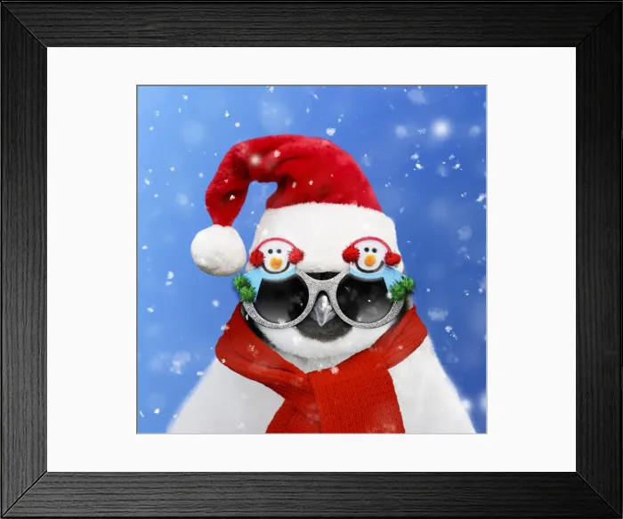 Framed Print : Picture No. 11769146