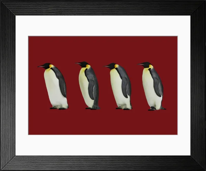 Framed Print : Picture No. 11769147 Framed Print : Picture No. 11769147