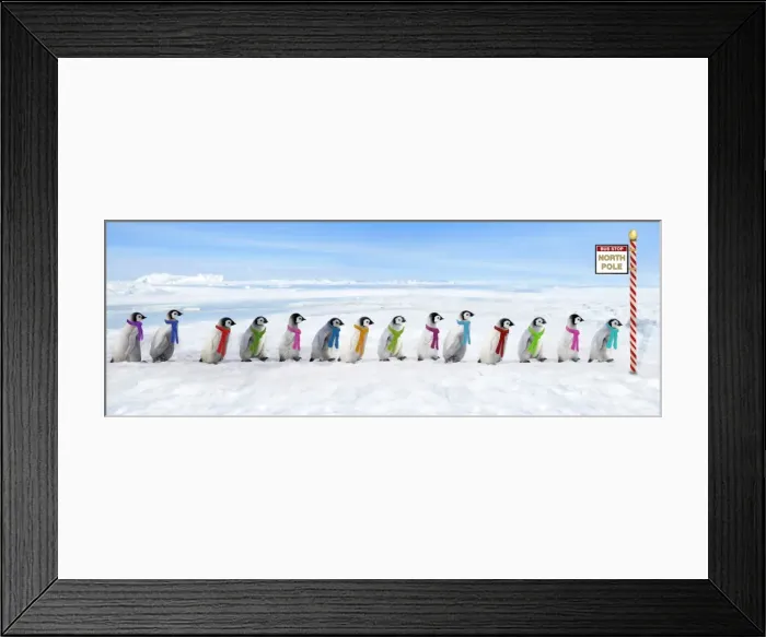 Framed Print : Picture No. 11769155