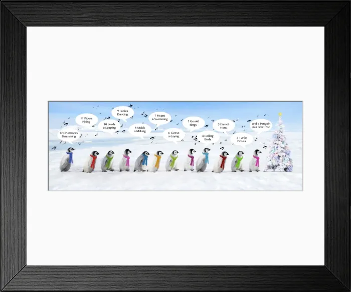 Framed Print : Picture No. 11769156