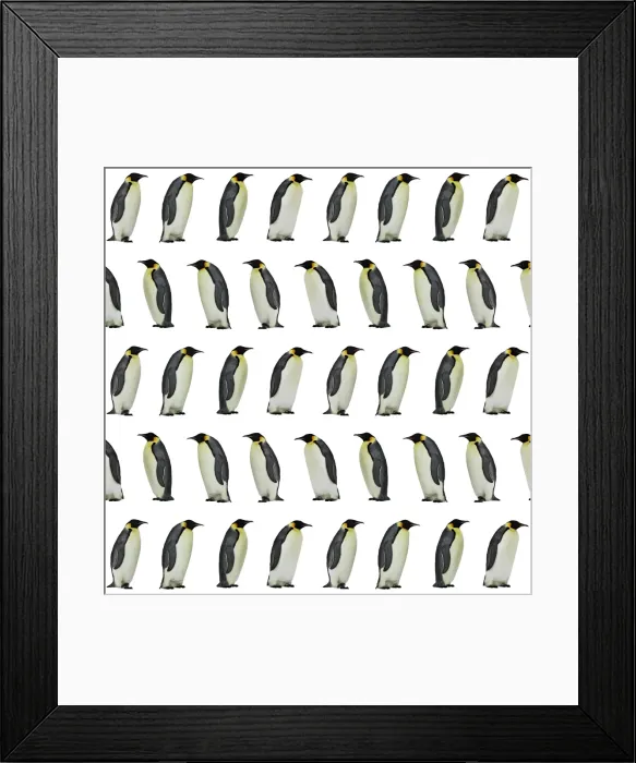Framed Print : Picture No. 11769148 Framed Print : Picture No. 11769148