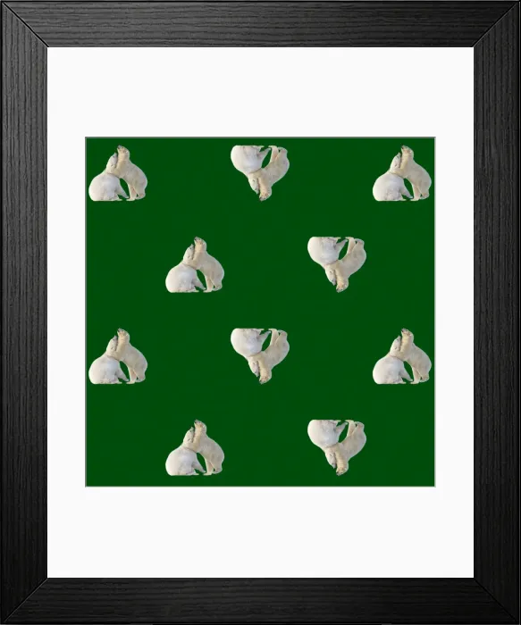 Framed Print : Picture No. 11769170 Framed Print : Picture No. 11769170