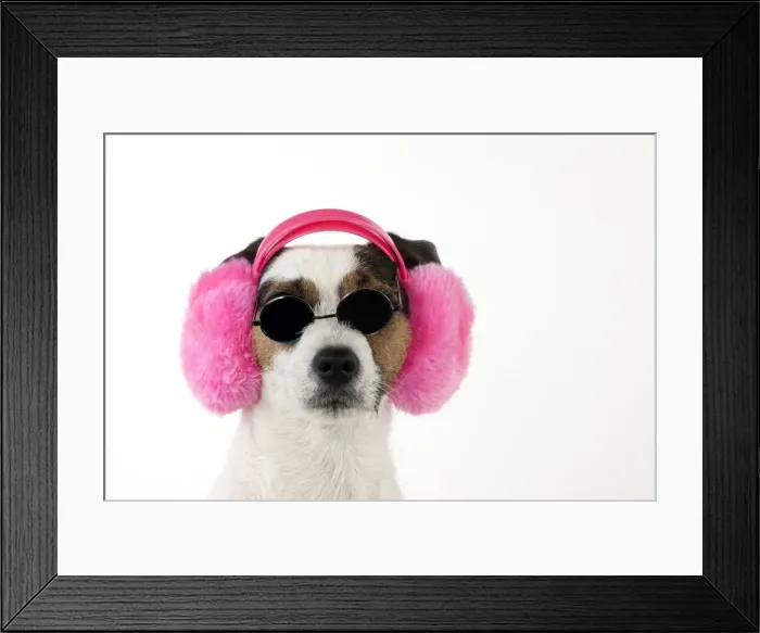 Framed Print : Picture No. 11771923 Framed Print : Picture No. 11771923