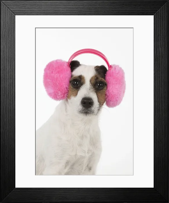 Framed Print : Picture No. 11771924 Framed Print : Picture No. 11771924