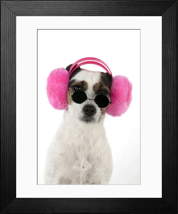 Framed Print : Picture No. 11771922 Framed Print : Picture No. 11771922