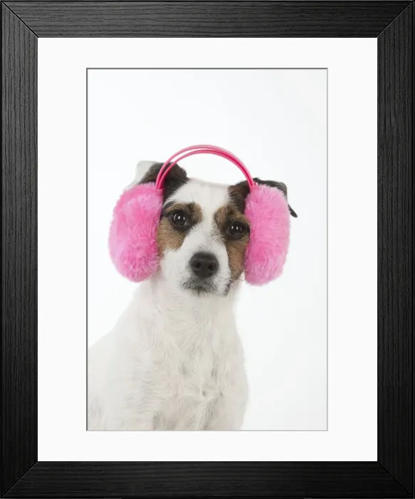 Framed Print : Picture No. 11771926 Framed Print : Picture No. 11771926