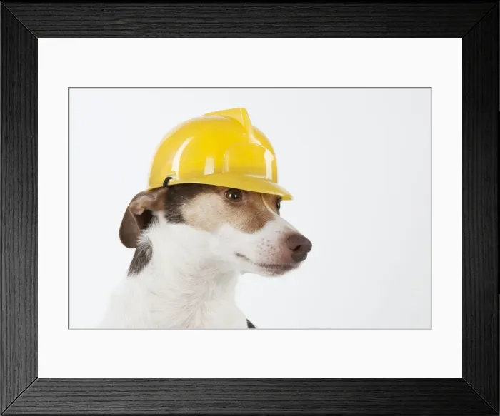 Framed Print : Picture No. 11771927 Framed Print : Picture No. 11771927