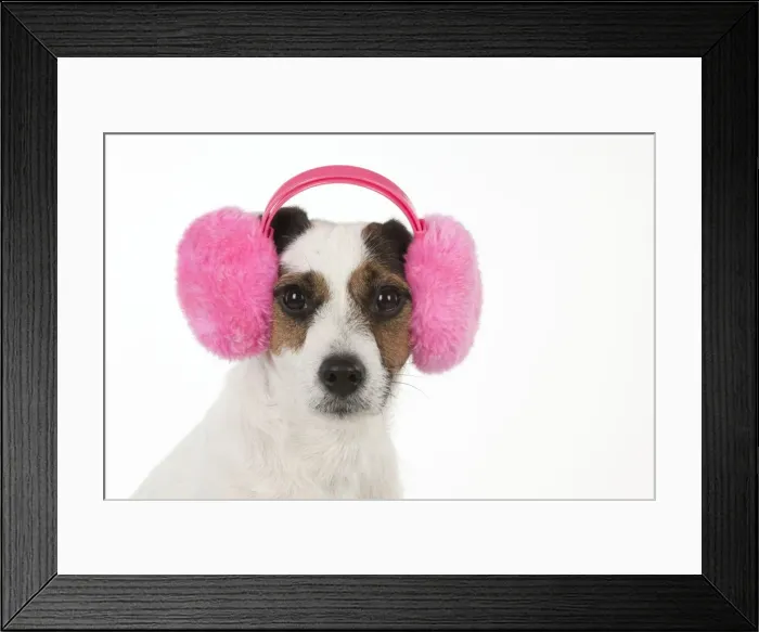 Framed Print : Picture No. 11771925 Framed Print : Picture No. 11771925