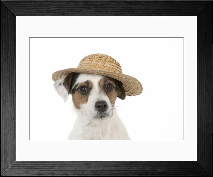 Framed Print : Picture No. 11771928 Framed Print : Picture No. 11771928