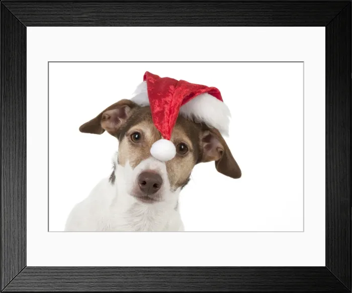 Framed Print : Picture No. 11771929 Framed Print : Picture No. 11771929
