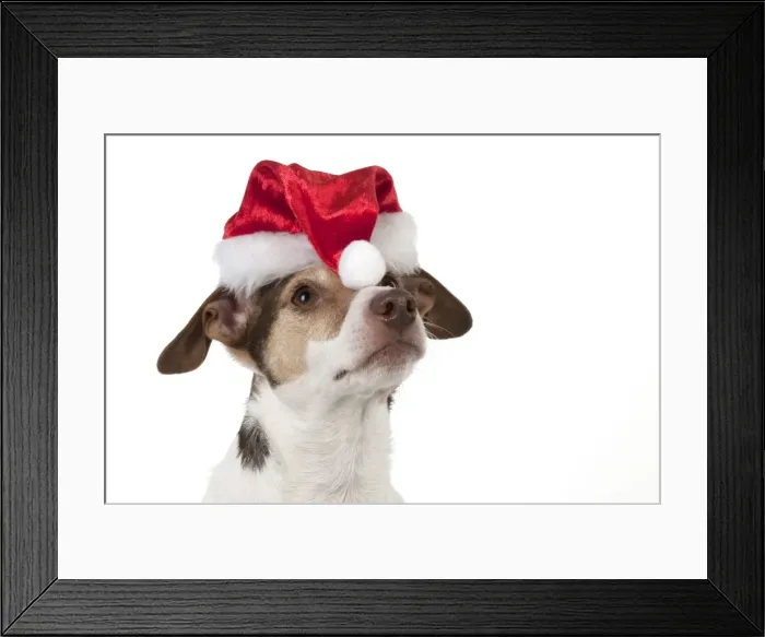 Framed Print : Picture No. 11771931 Framed Print : Picture No. 11771931