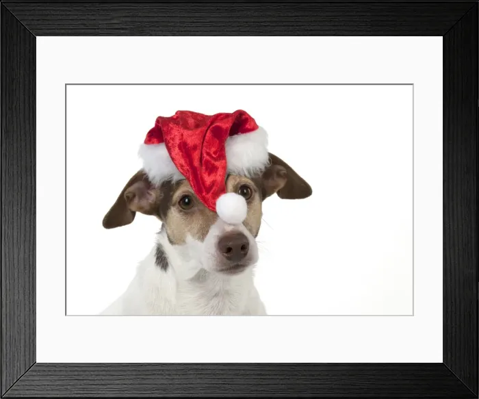Framed Print : Picture No. 11771932 Framed Print : Picture No. 11771932