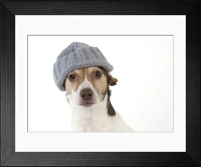 Framed Print : Picture No. 11771933 Framed Print : Picture No. 11771933