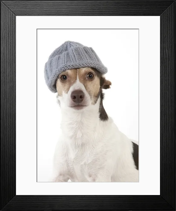 Framed Print : Picture No. 11771934 Framed Print : Picture No. 11771934