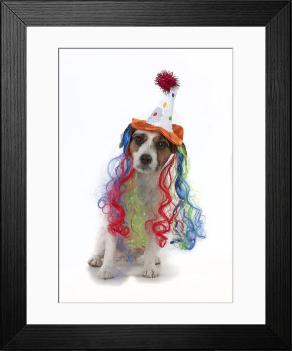 Framed Print : Picture No. 11771936 Framed Print : Picture No. 11771936