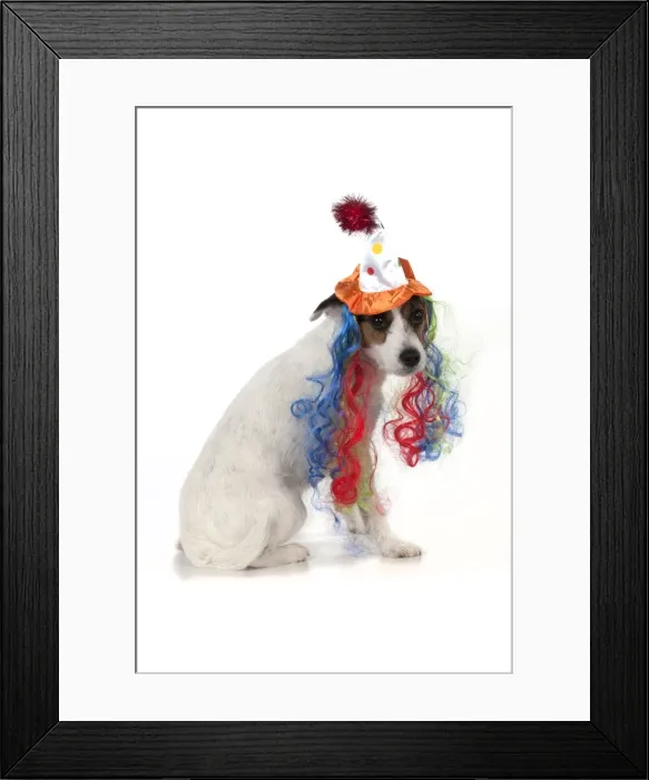 Framed Print : Picture No. 11771935 Framed Print : Picture No. 11771935
