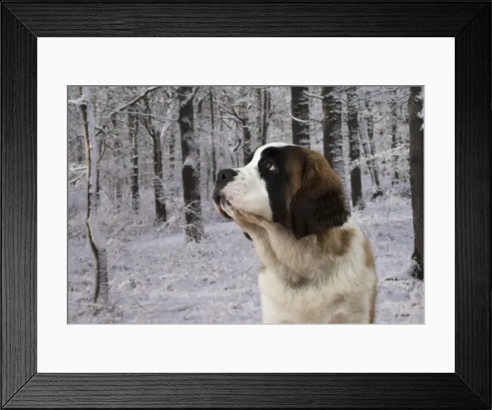 Framed Print : Picture No. 11771992 Framed Print : Picture No. 11771992