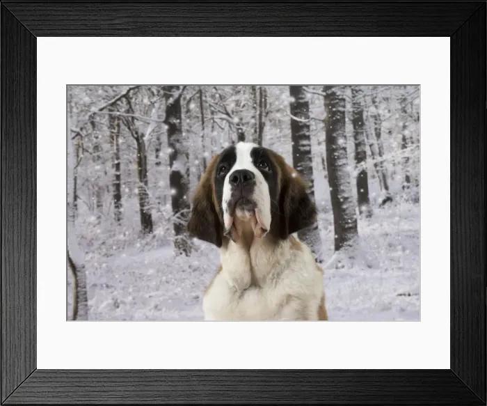 Framed Print : Picture No. 11771993 Framed Print : Picture No. 11771993