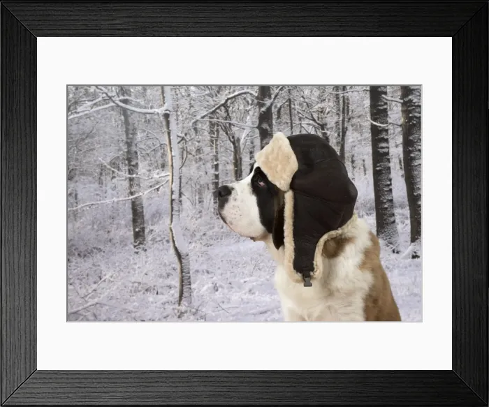 Framed Print : Picture No. 11771995 Framed Print : Picture No. 11771995