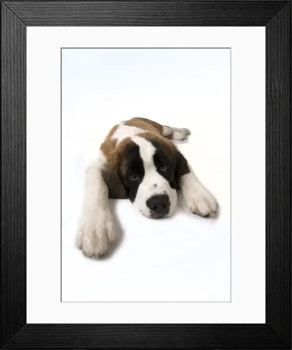 Framed Print : Picture No. 11771996 Framed Print : Picture No. 11771996