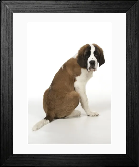 Framed Print : Picture No. 11772000 Framed Print : Picture No. 11772000
