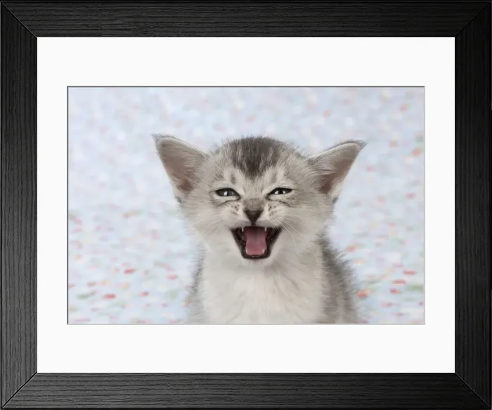 Framed Print : Picture No. 11772043 Framed Print : Picture No. 11772043