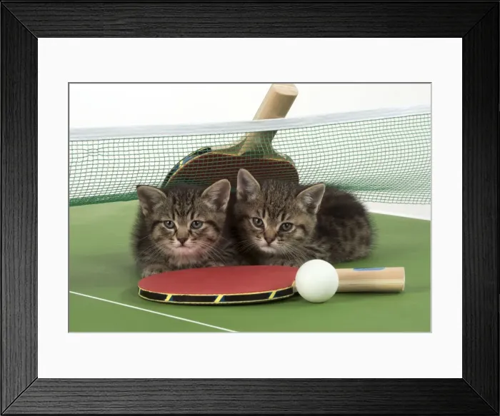 Framed Print : Picture No. 11772124 Framed Print : Picture No. 11772124