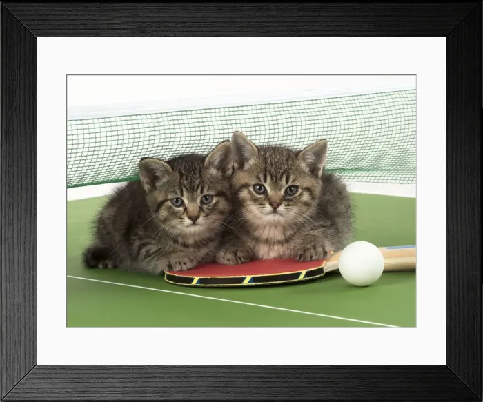 Framed Print : Picture No. 11772126 Framed Print : Picture No. 11772126