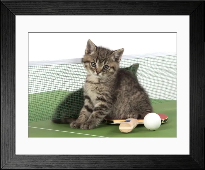 Framed Print : Picture No. 11772127 Framed Print : Picture No. 11772127