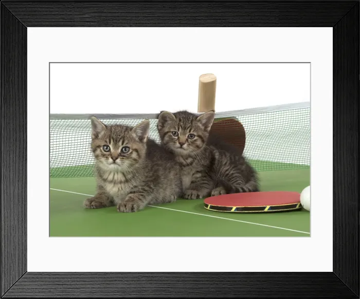 Framed Print : Picture No. 11772125 Framed Print : Picture No. 11772125