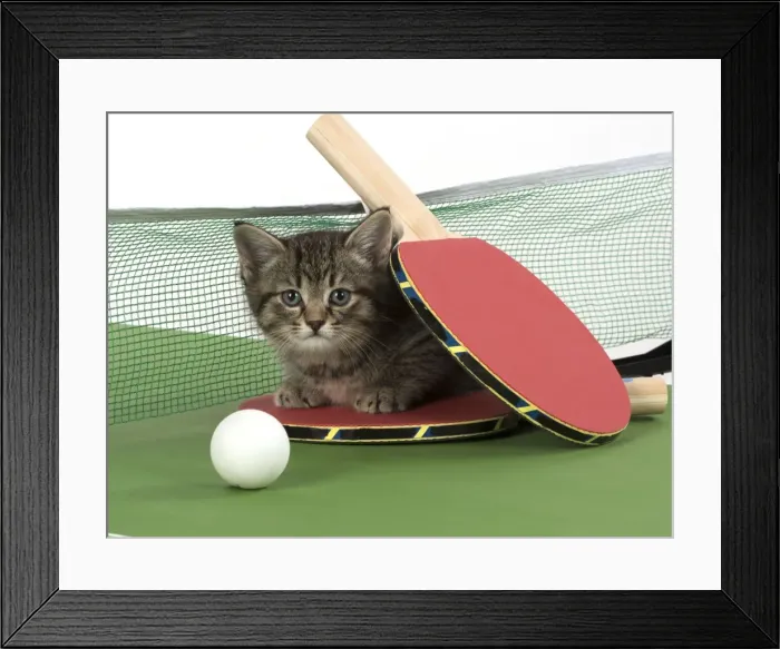 Framed Print : Picture No. 11772129 Framed Print : Picture No. 11772129