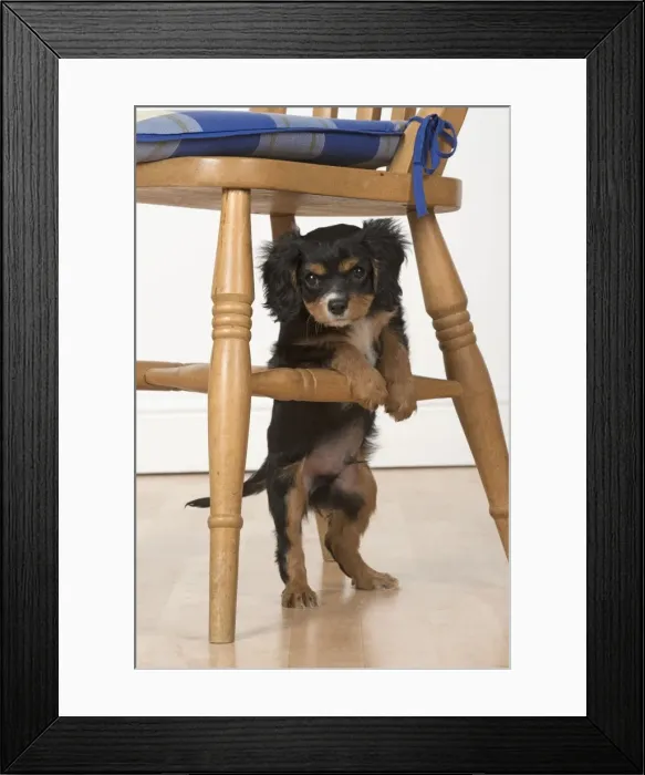 Framed Print : Picture No. 11772151 Framed Print : Picture No. 11772151