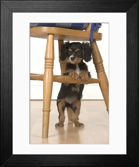 Framed Print : Picture No. 11772153 Framed Print : Picture No. 11772153