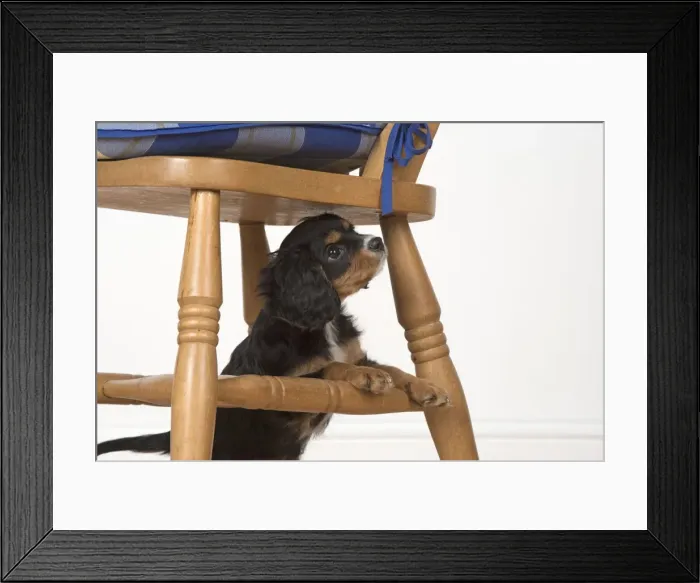 Framed Print : Picture No. 11772155 Framed Print : Picture No. 11772155