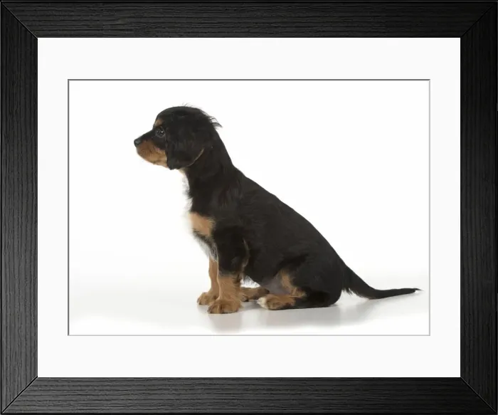 Framed Print : Picture No. 11772163 Framed Print : Picture No. 11772163