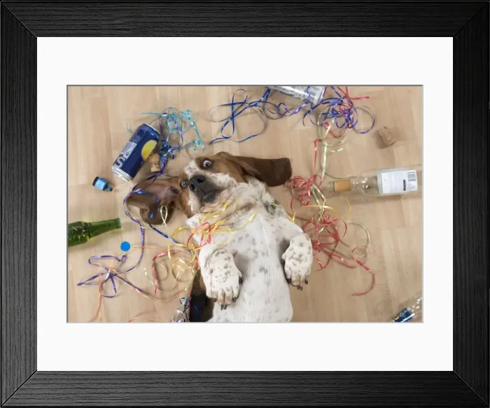 Framed Print : Picture No. 11772177 Framed Print : Picture No. 11772177