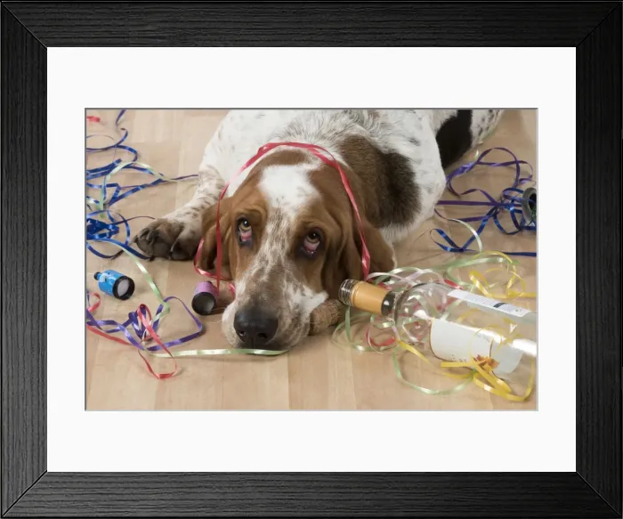 Framed Print : Picture No. 11772176 Framed Print : Picture No. 11772176